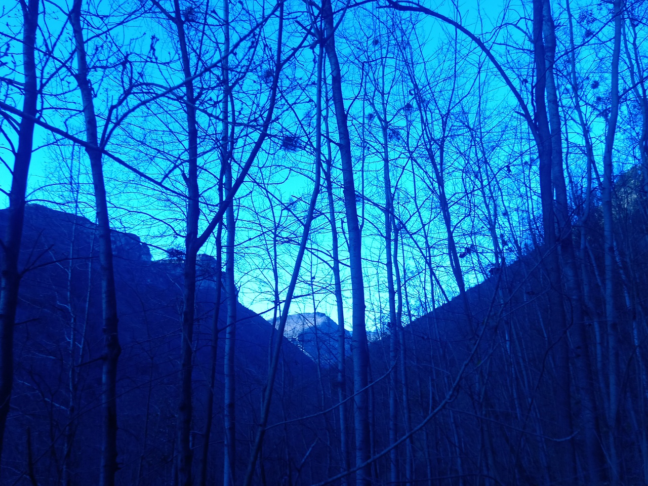 现在这个样的世界已经很少有这样的风景了