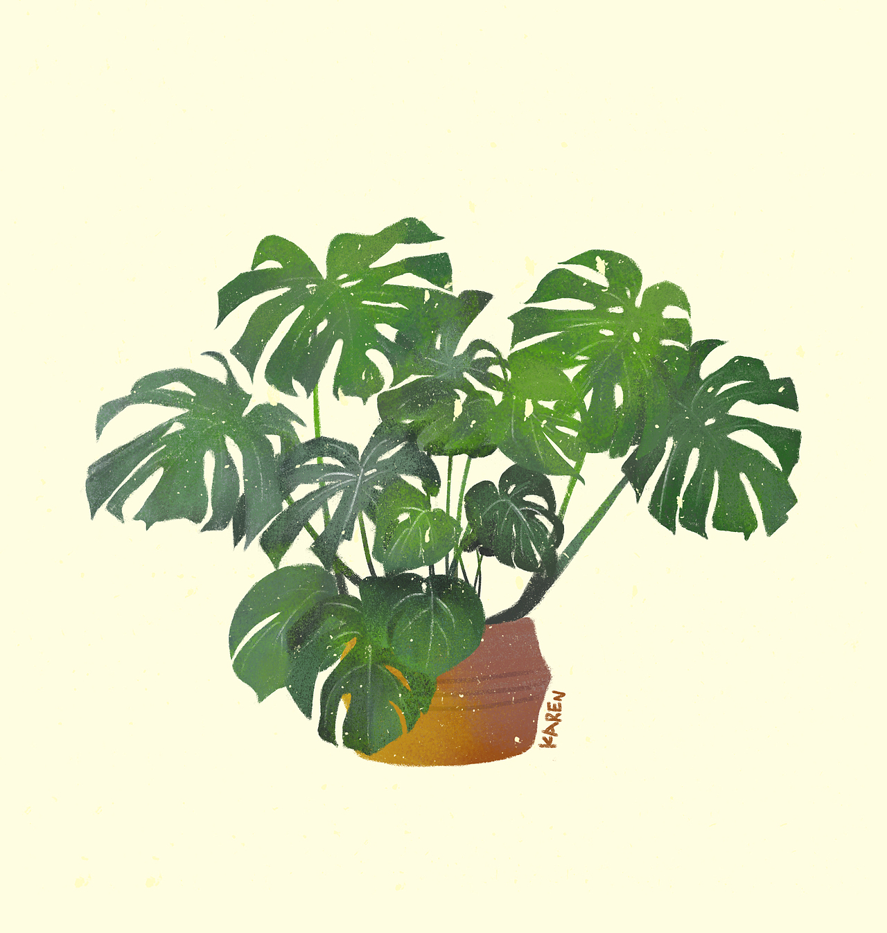 扁平植物插画-龟背竹