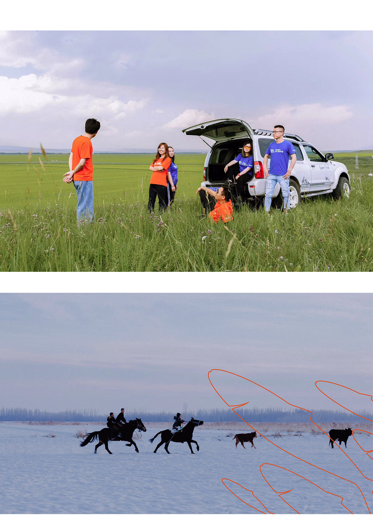 沙丁鱼计划品牌VI