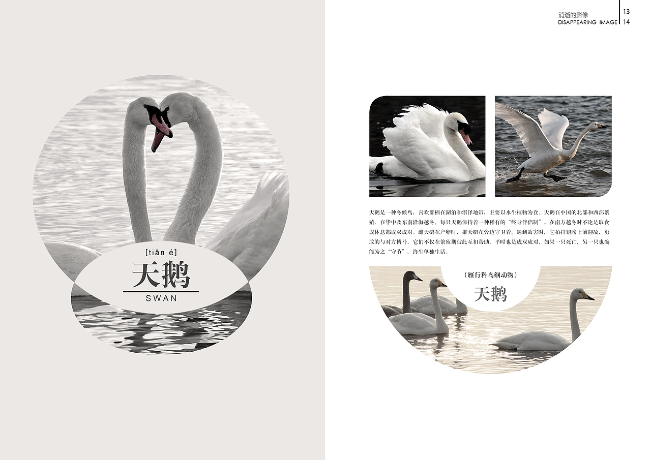消逝的影像——我们身边的“他们”系列书籍版式设计（图ZMTcwNDUyODQ=） - 书籍/画册 - 站酷设计师盐菜原创素材 - 站酷ZCOOL