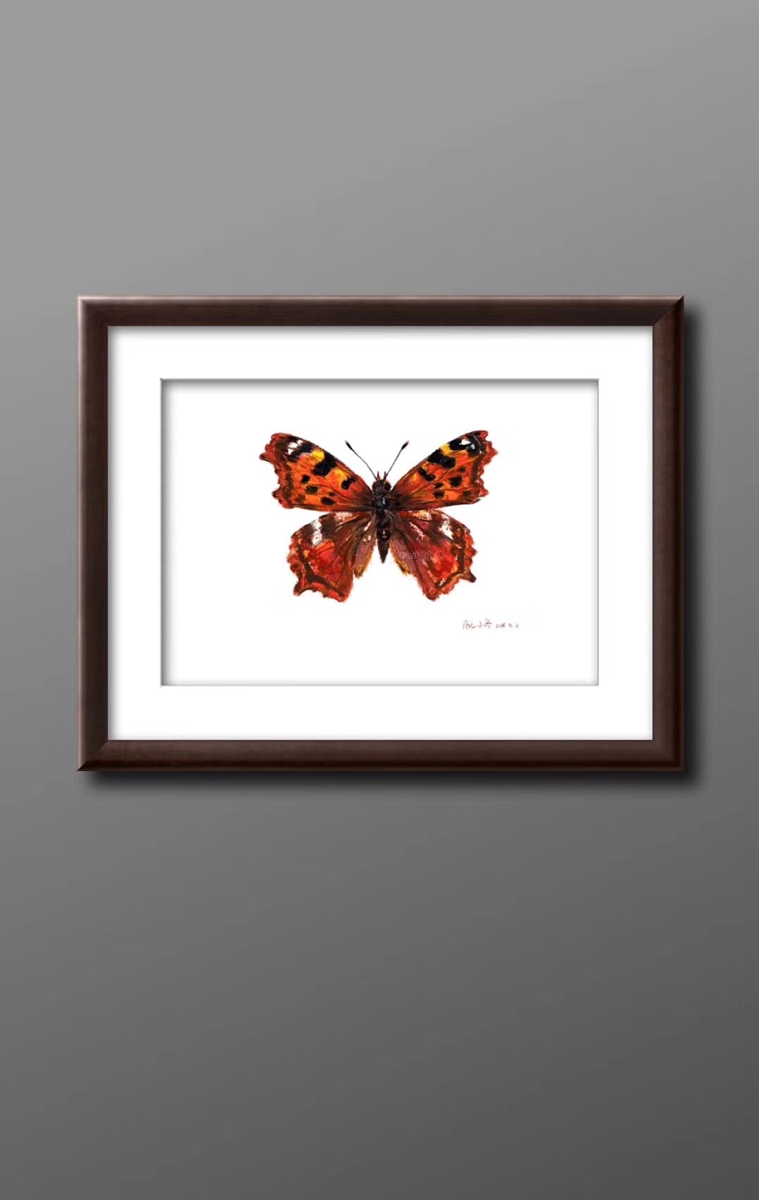 油画棒画蝴蝶1f98b 