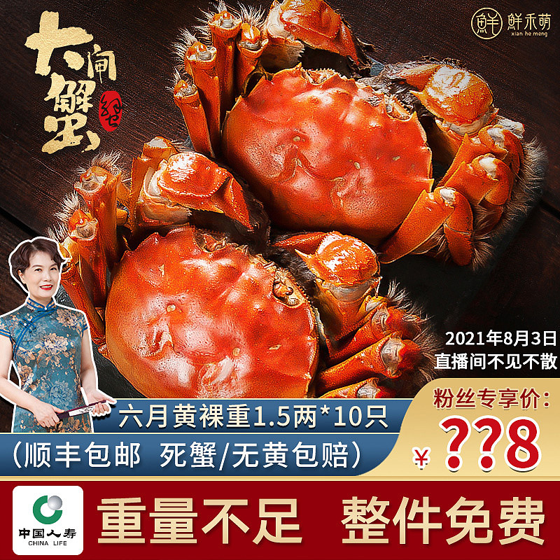 电商产品主图（图ZMjY1NjQ2MDgw） - 电商 - 站酷设计师紫焰花君原创素材 - 站酷ZCOOL