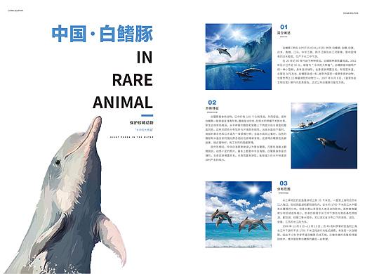 版面设计