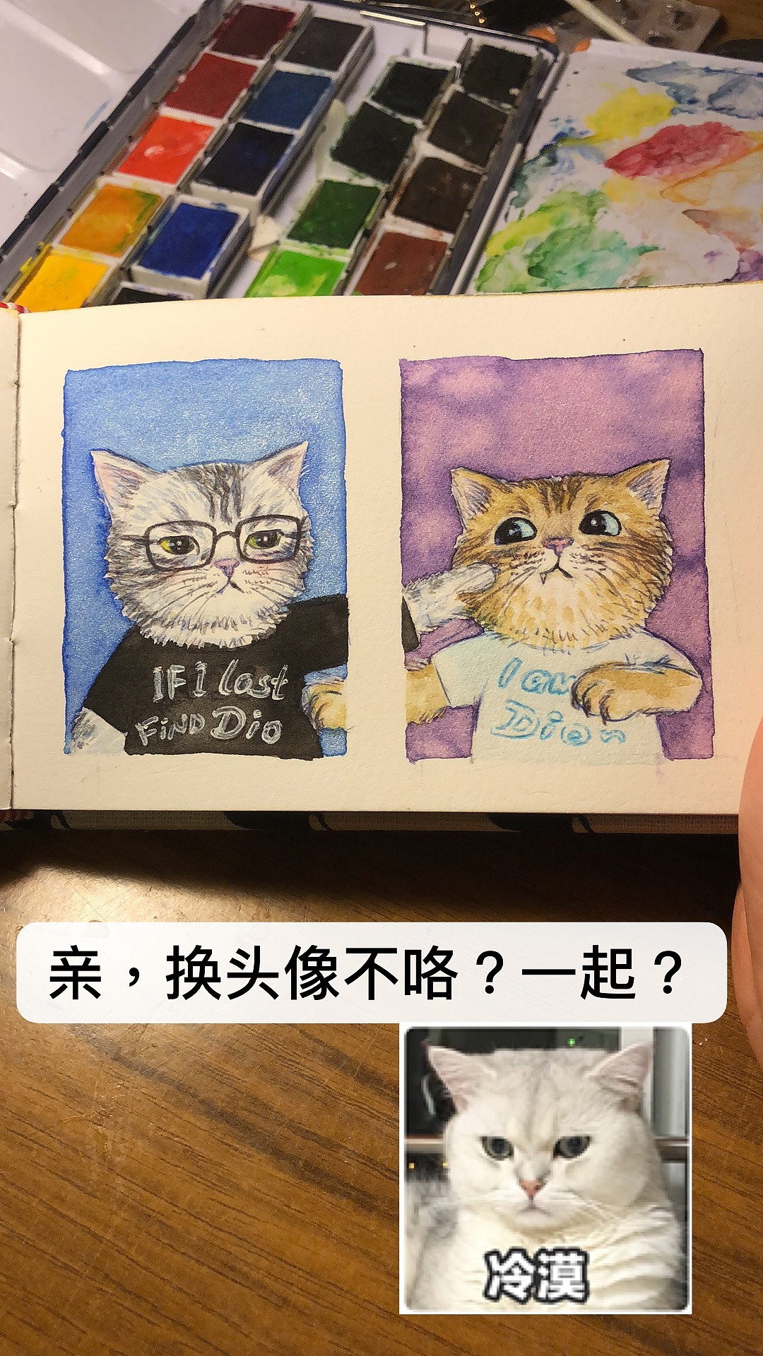 猫籽