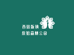 导视