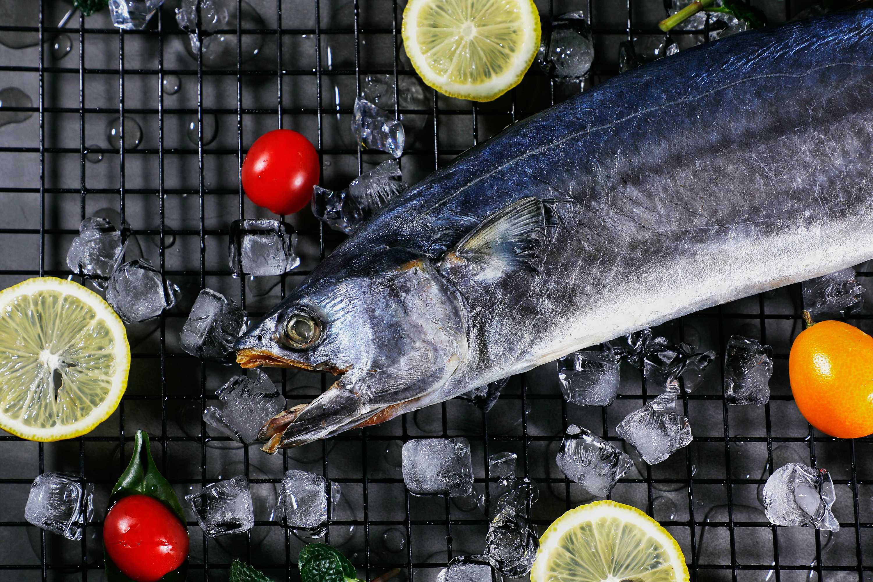 鱼非鱼|摄影|静物|摄影师bruce - 原创作品 - 站酷 (zcool)