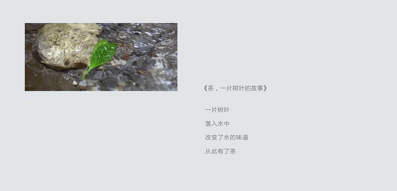 西唐品牌最新产品包装案例：犹江绿月新概念茶