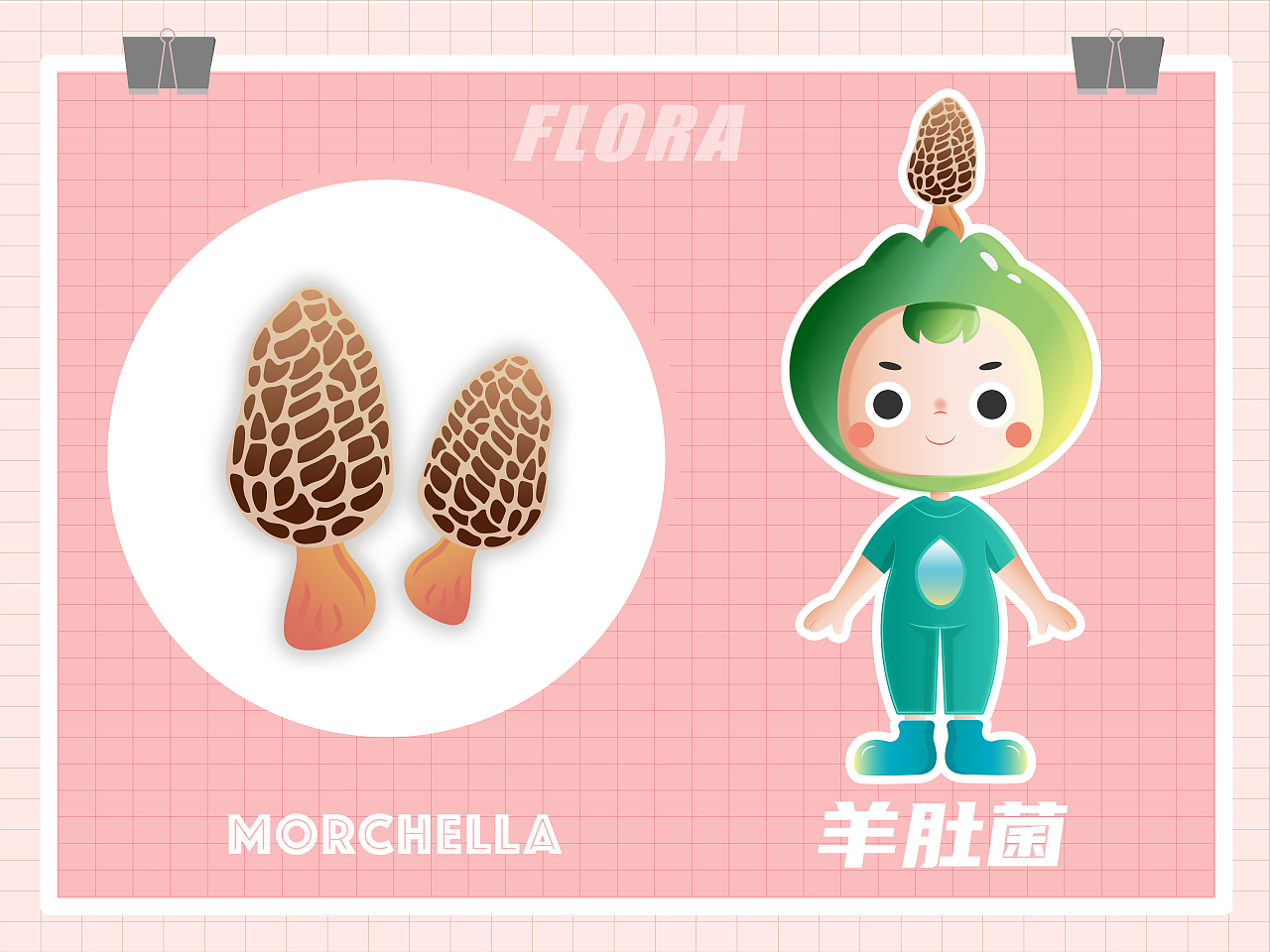 原创IP | “菌灵”云南野生食用菌吉祥物设计方案（图ZMjQzOTUxNjA0） - IP形象 - 站酷设计师Flora芳野原创素材 - 站酷ZCOOL