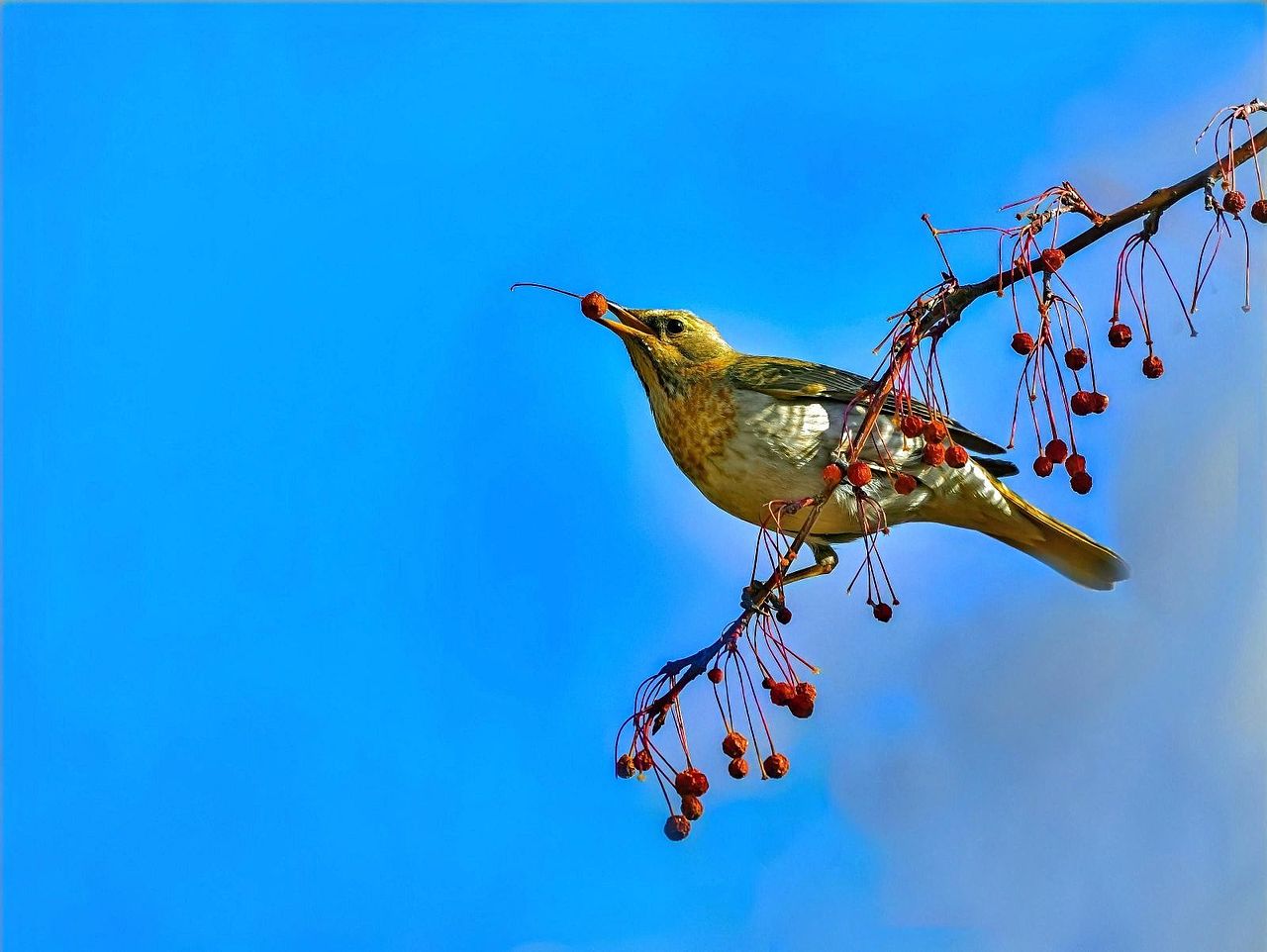 噢（图ZMzIxNzMyNjc2） - 其他 - 站酷设计师Z932335070原创素材 - 站酷ZCOOL