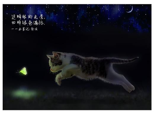 瞬间光景,如风过境。