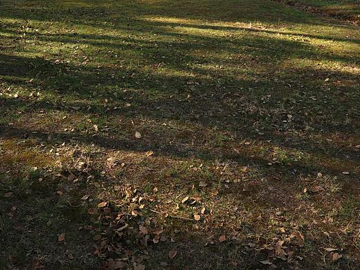 《春日和》（个人主页-ZNTg5NTIwNDA=） - 风光摄影 - 站酷设计师Yokoii原创素材 - 站酷ZCOOL