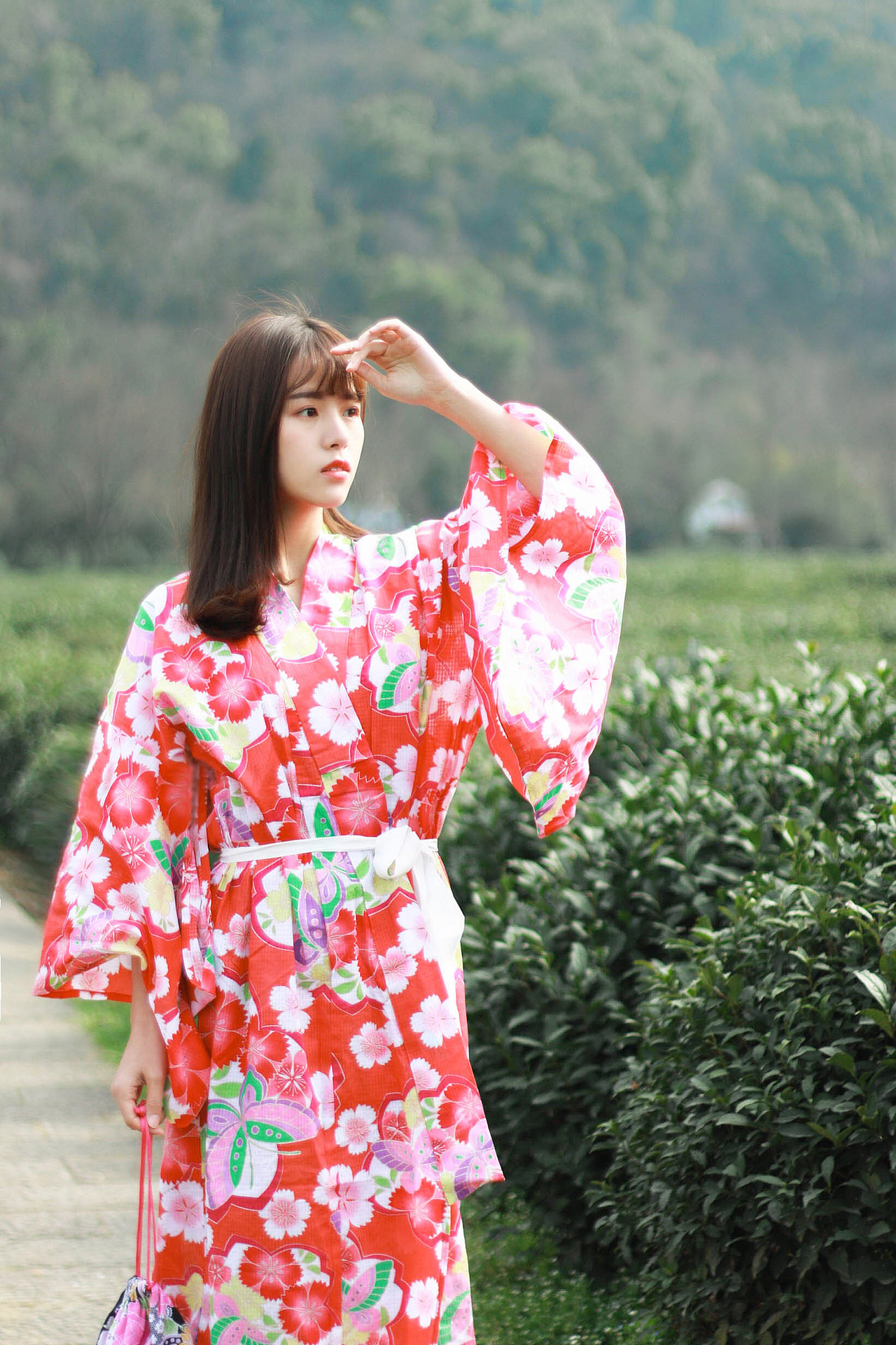 十里春风不及如樱花的你