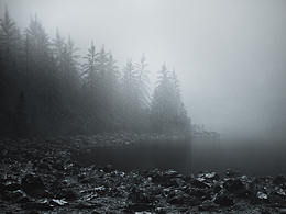 C4D近期作品精選（2020.1-2020.5）