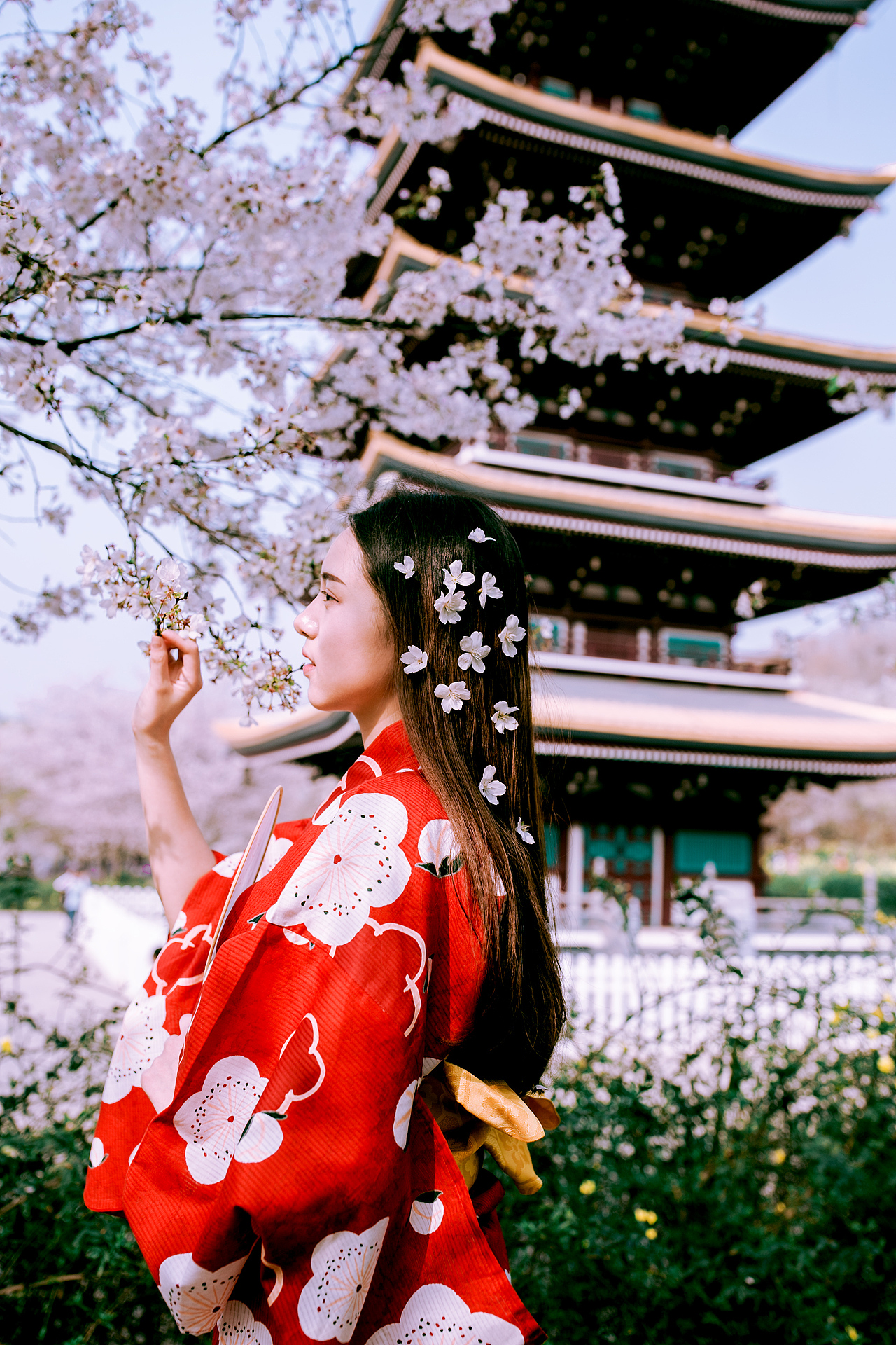 【春の颜】樱花和服写真（图ZNDU2NjYzODA=） - 人像摄影 - 站酷设计师suansuan33原创素材 - 站酷ZCOOL