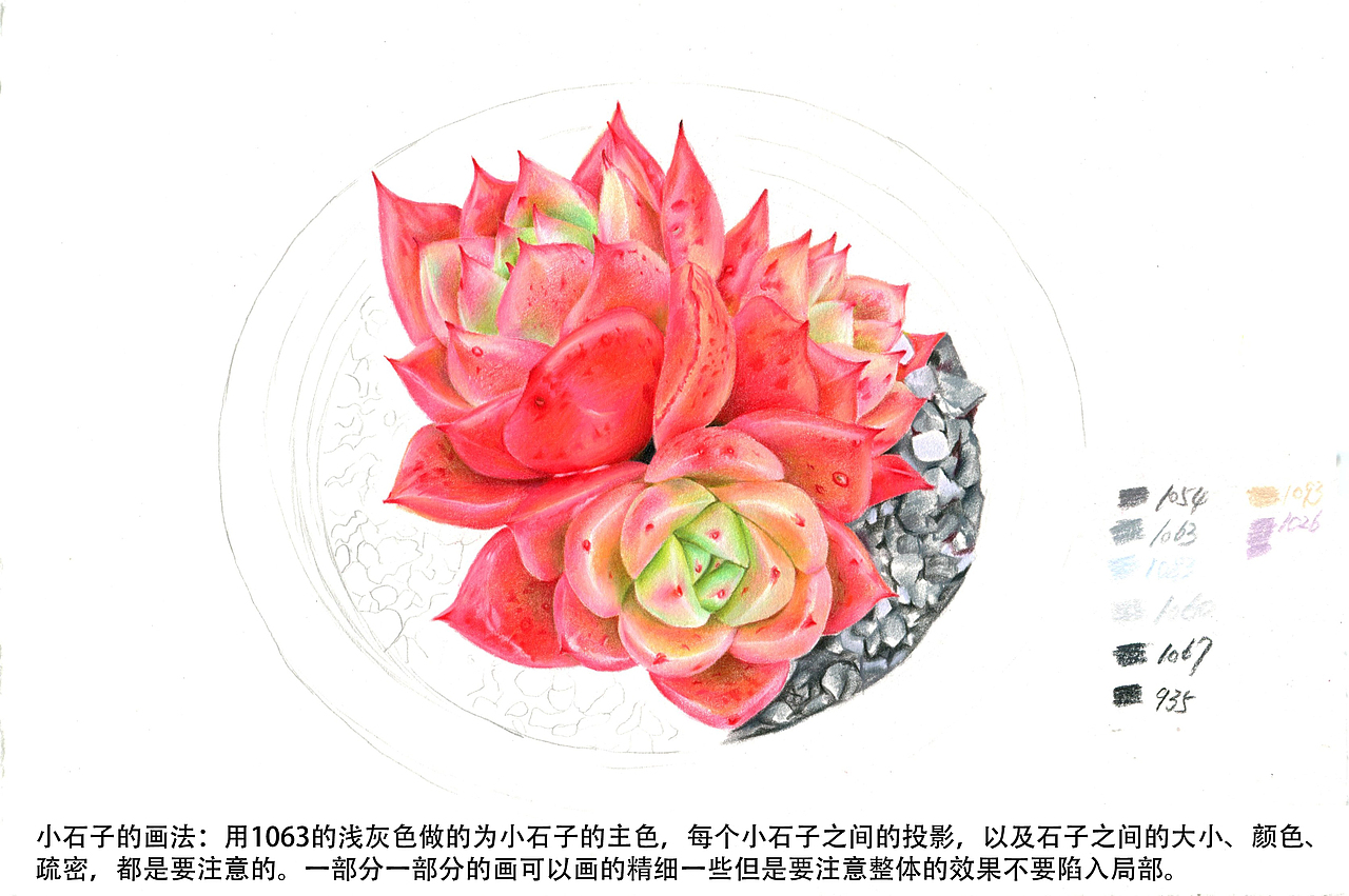 彩铅多肉教程（图ZMTQ4MTY1NzUy） - 绘画 - 站酷设计师拾光者Art原创素材 - 站酷ZCOOL