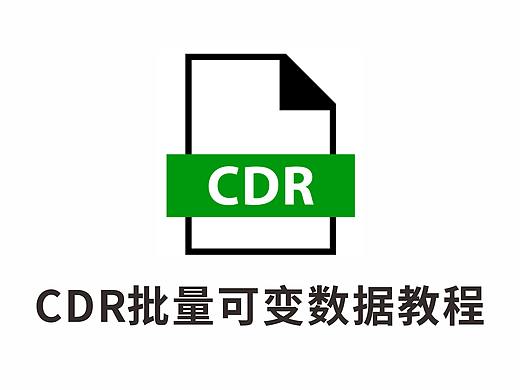 cdr制作大批量可变数据