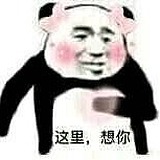 一只洋气的猪的头像