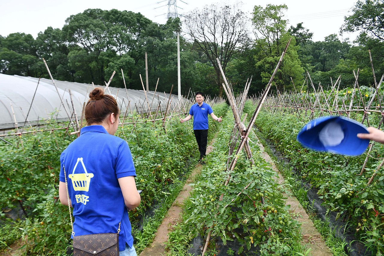 餐饮 | 湖南成雄海餐饮管理旗下黄篮子生鲜连锁品牌