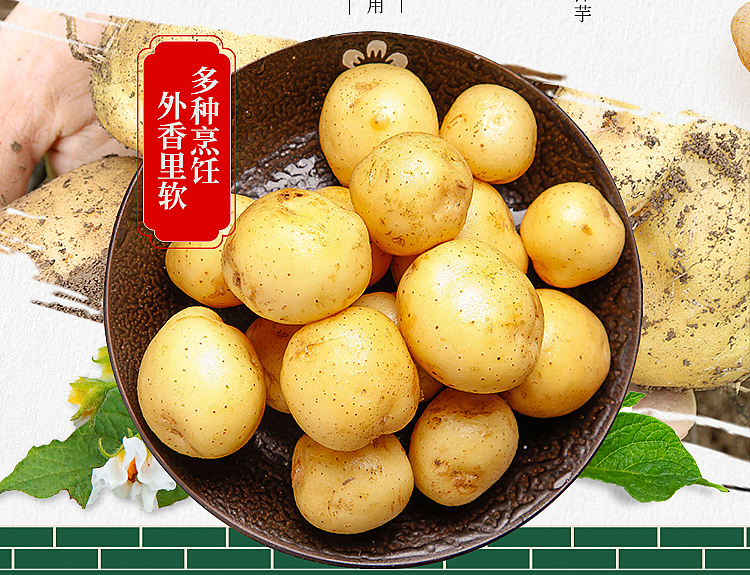 贵州土豆洋芋马铃薯农产品蔬菜（图ZMjYxMzEzNzg4） - 电商 - 站酷设计师左手残原创素材 - 站酷ZCOOL