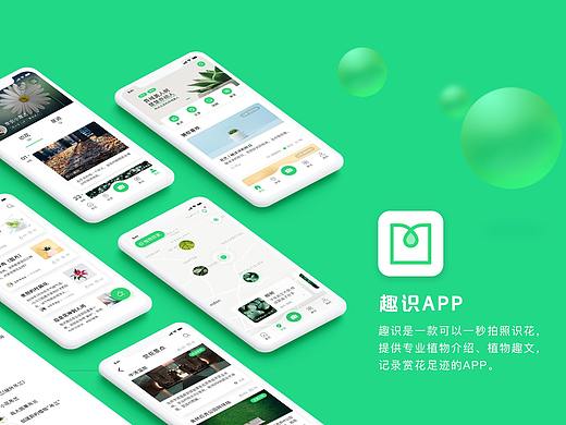 趣识APP