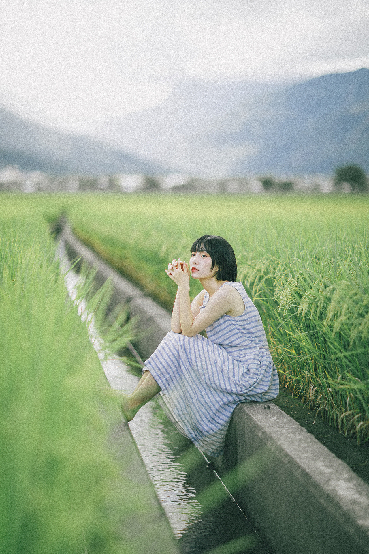 风筝有风 海豚有海
