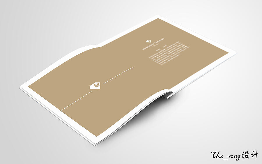 金伯利钻石 宣传画册（图ZNTIzMjQ5MjA=） - 宣传物料 - 站酷设计师Uz_song原创素材 - 站酷ZCOOL