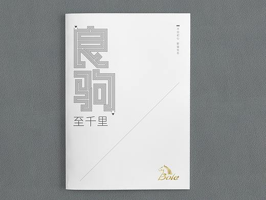 画册