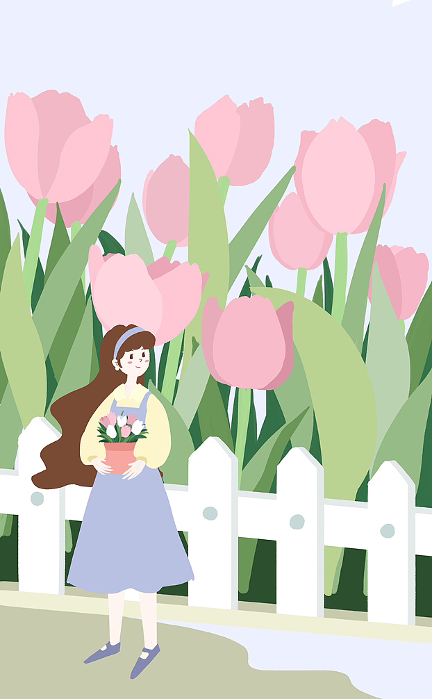 郁金香🌷插画