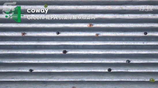 电商视频 | Coway空气净化器 X 乐蚁视觉