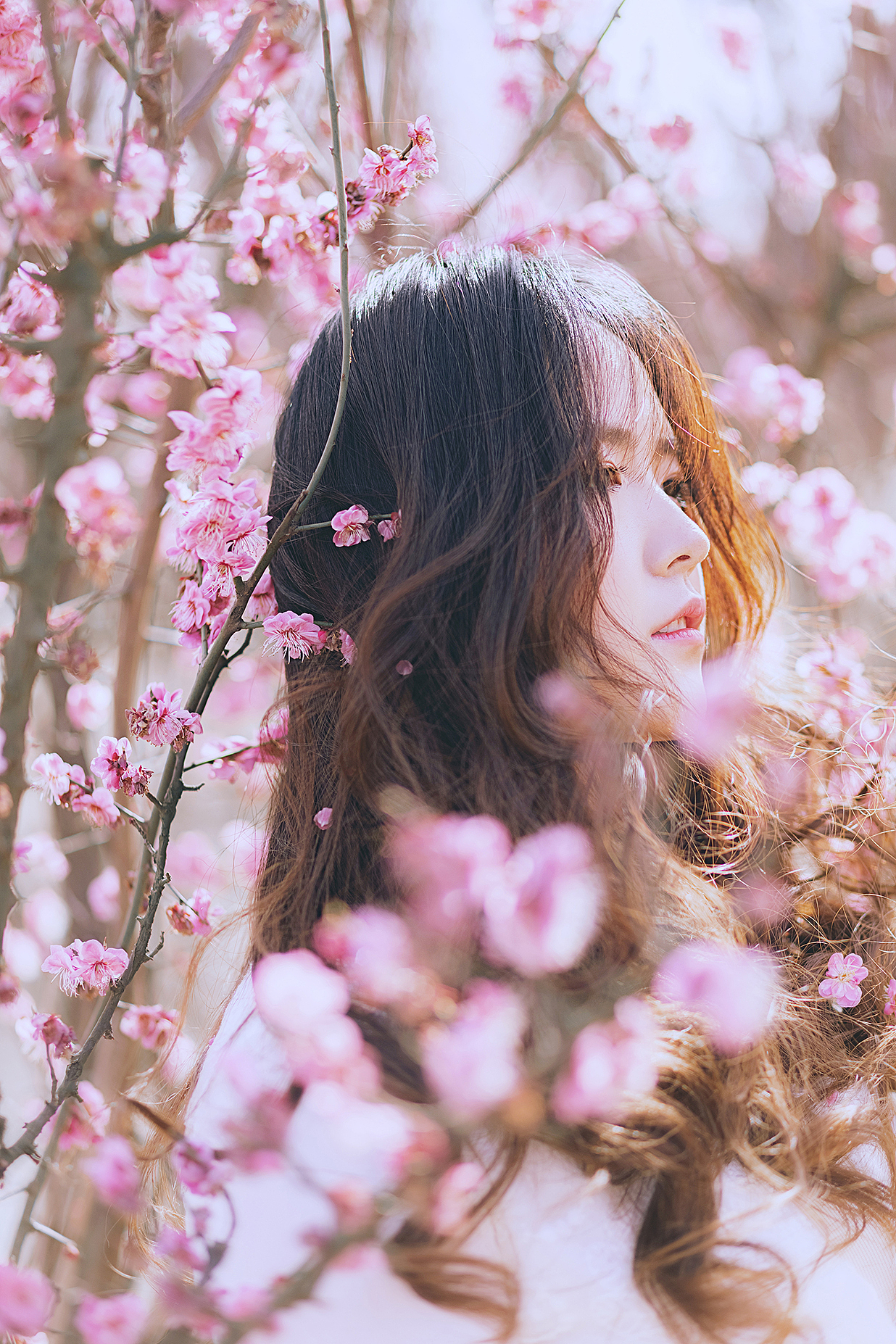 花季,少女季|摄影|人像摄影|larrydai_原创作品-站酷zcool