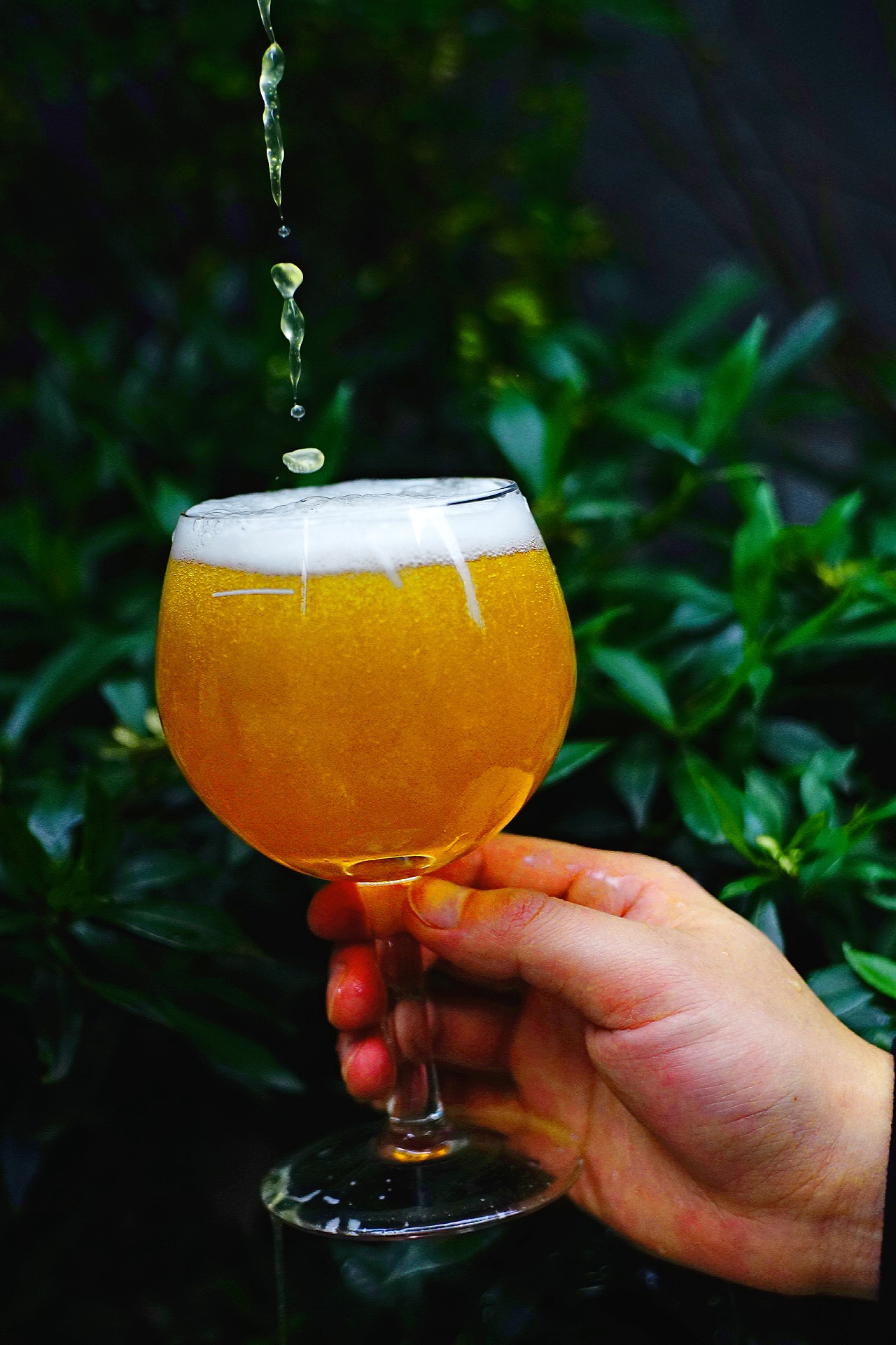 贵阳市 水泥公园精酿啤酒