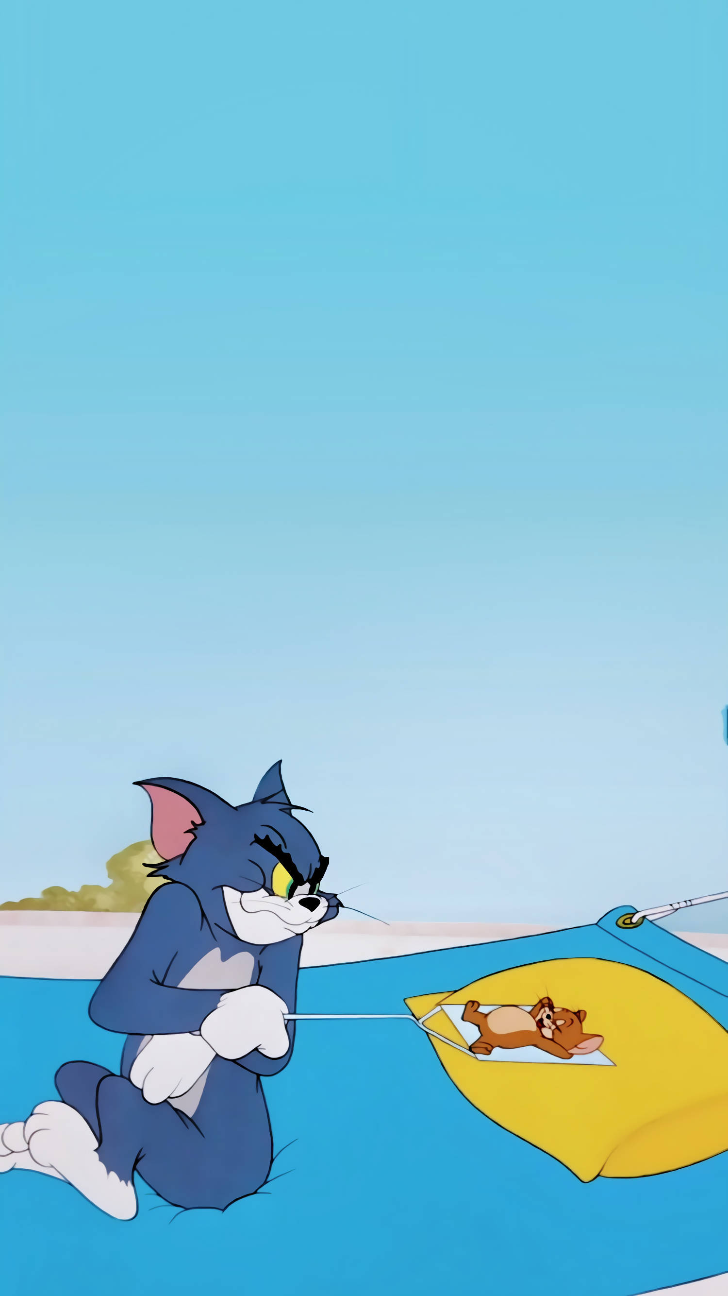 猫和老鼠|动漫|动画片|一一一只鹿 - 临摹作品 - 站酷 (zcool)