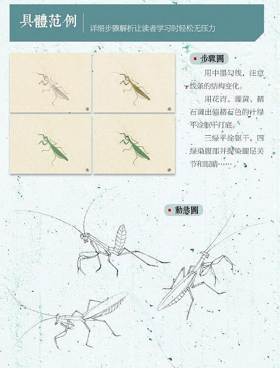 中国现代工笔画技法丛书 · 工笔草虫