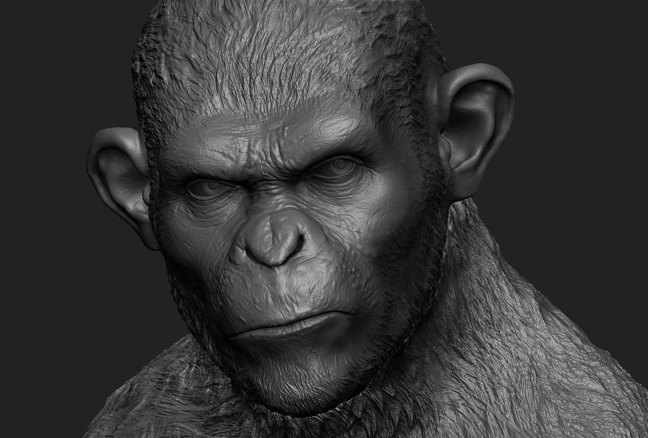 猿族崛起凯撒模型雕刻