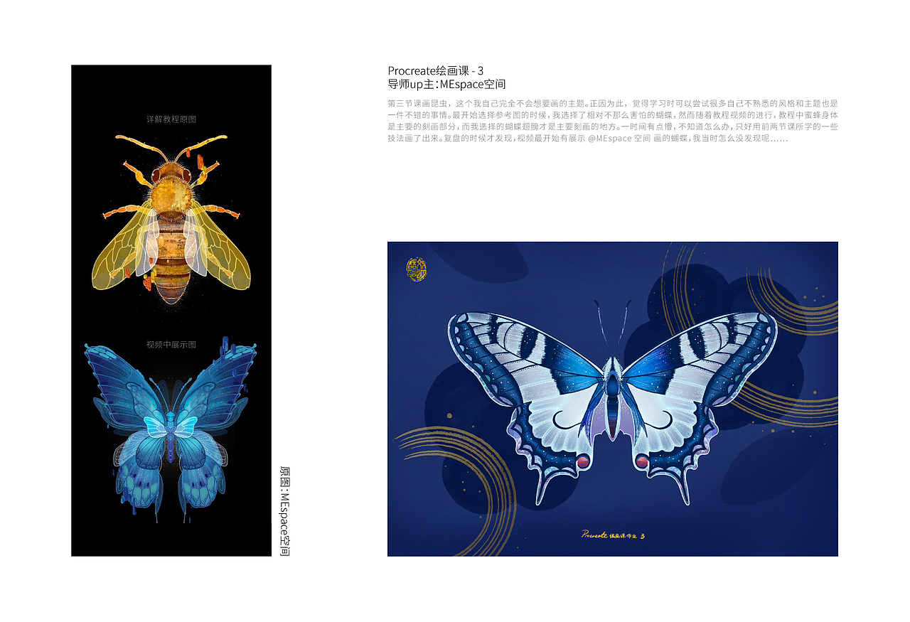 Procreate绘画课 作业合集