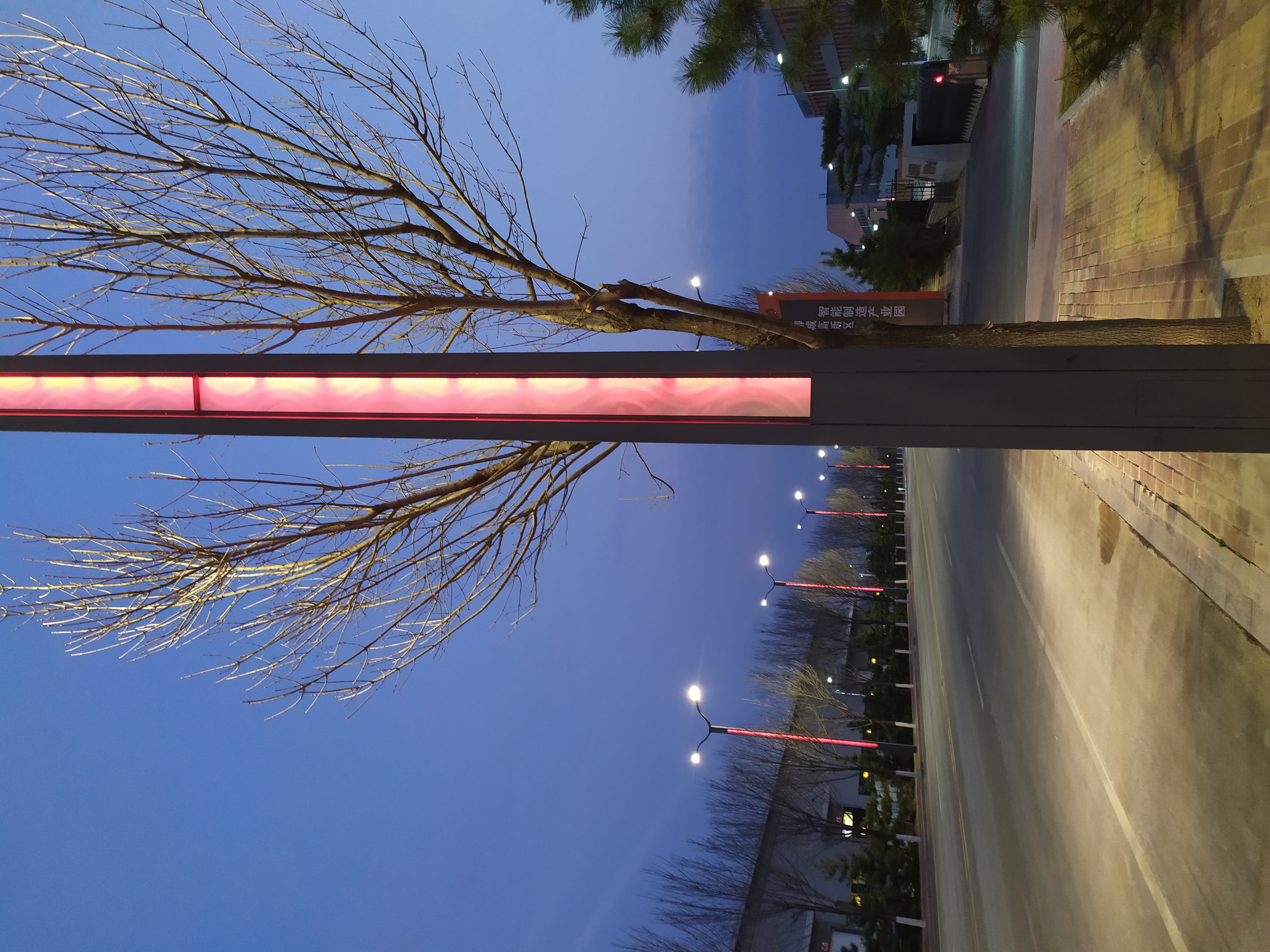 世博光电创新品质发光导光路灯杆结合夜景风景线