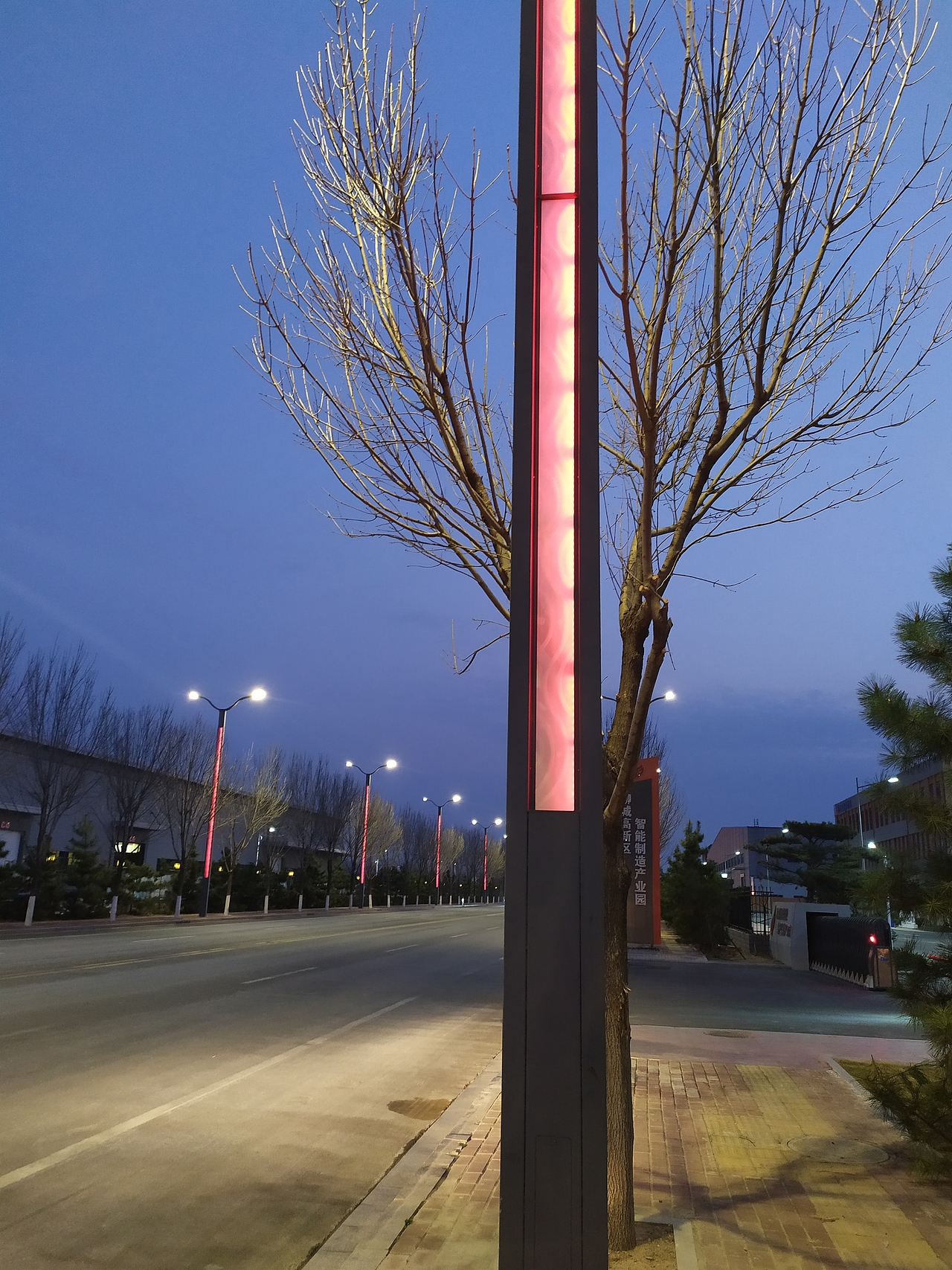 世博光电创新品质发光导光路灯杆结合.夜景风景线