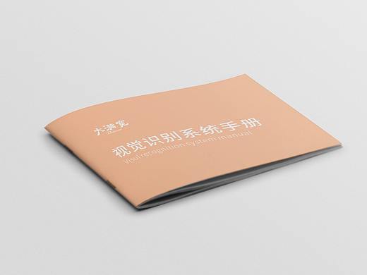 视觉识别系统手册