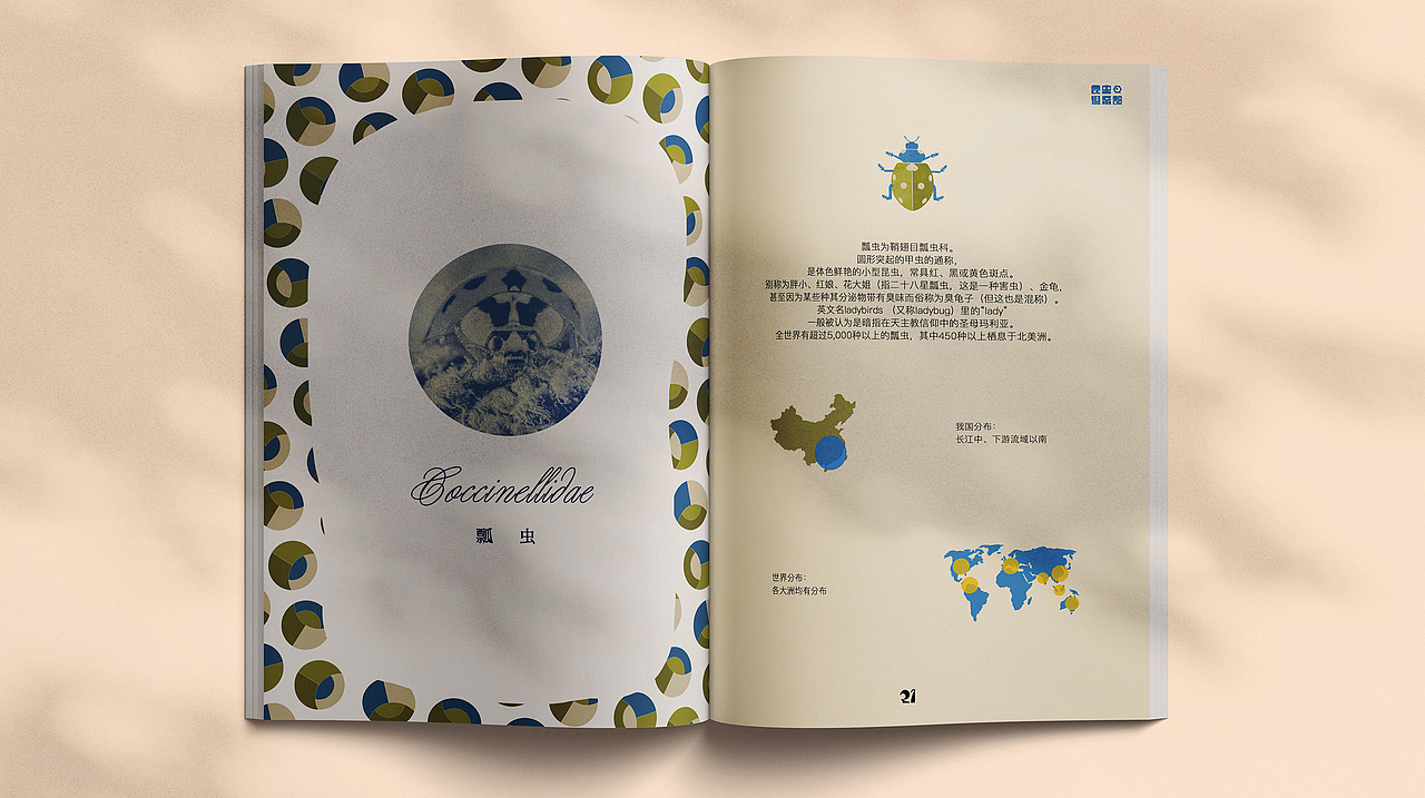 昆虫俱乐部少儿读物品牌设计（图ZMjUyMzUwMTky） - Logo - 站酷设计师MoroChan原创素材 - 站酷ZCOOL