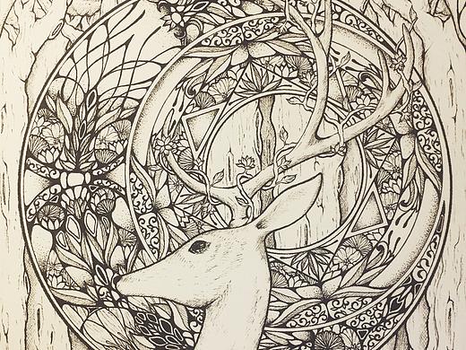 针管笔插画《鹿Ⅰ》