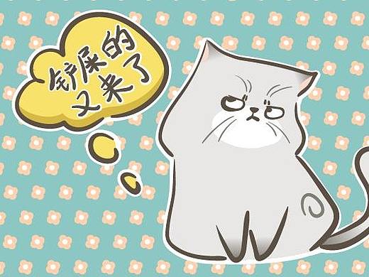 阿花猫猫微信表情（个人主页-ZNDM5MjUxMjQ=） - 网络表情 - 站酷设计师松花设计张颖原创素材 - 站酷ZCOOL