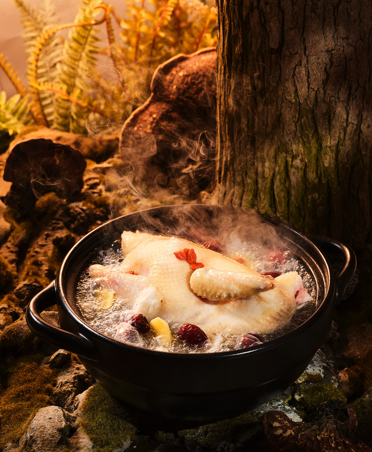 灵芝鸡煲woodkailiustudio