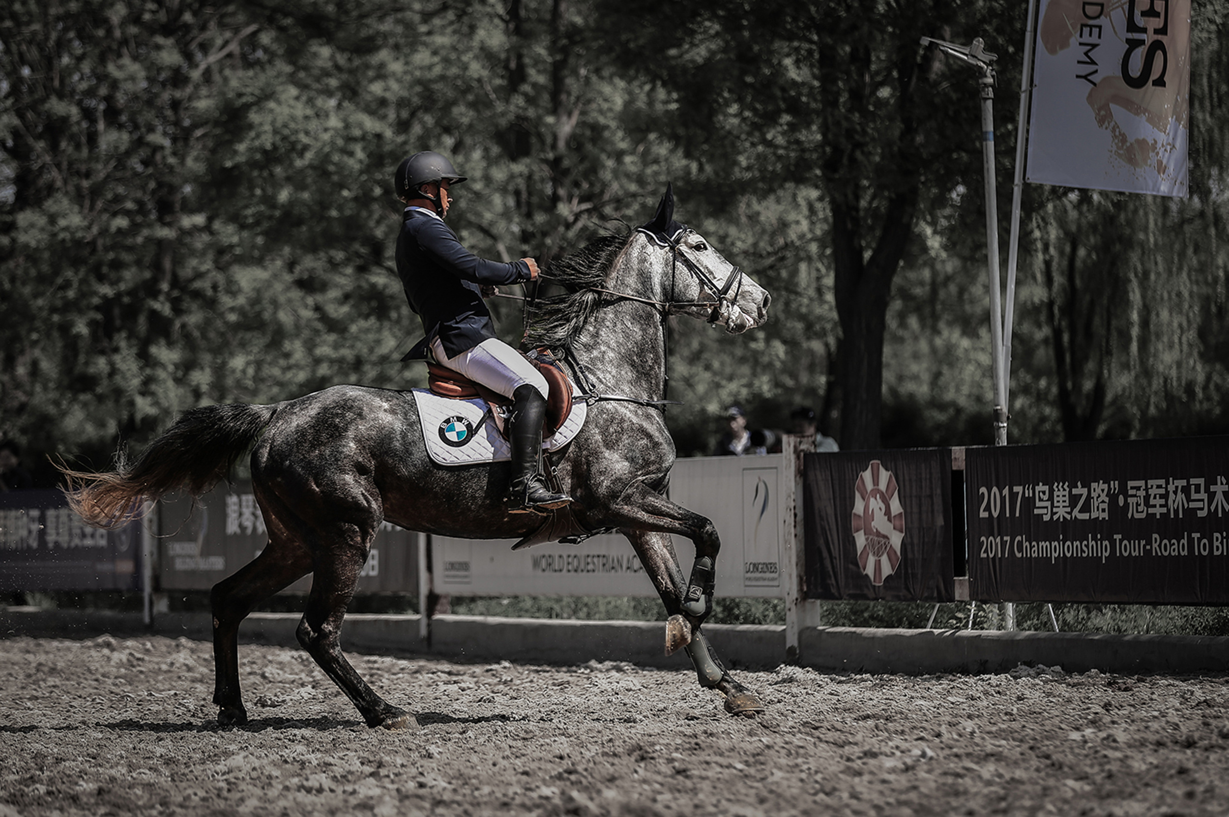 鸟巢之路-冠军杯马术场地赛北京站