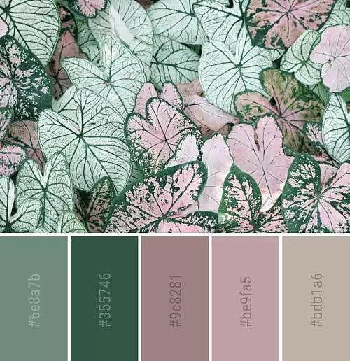 暖色系色彩搭配方案