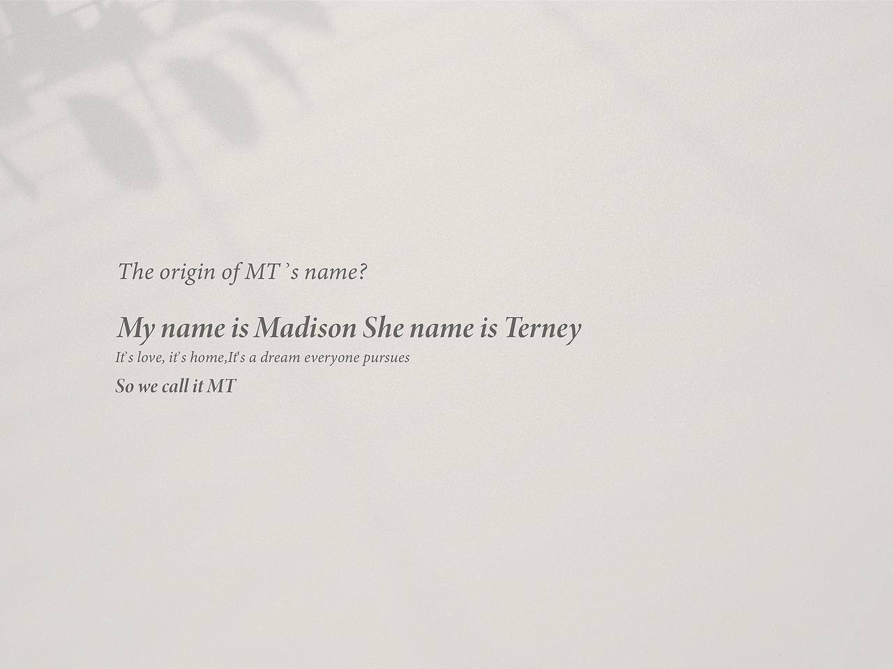 Madison&Terney hotel 酒店品牌 坐标：越南