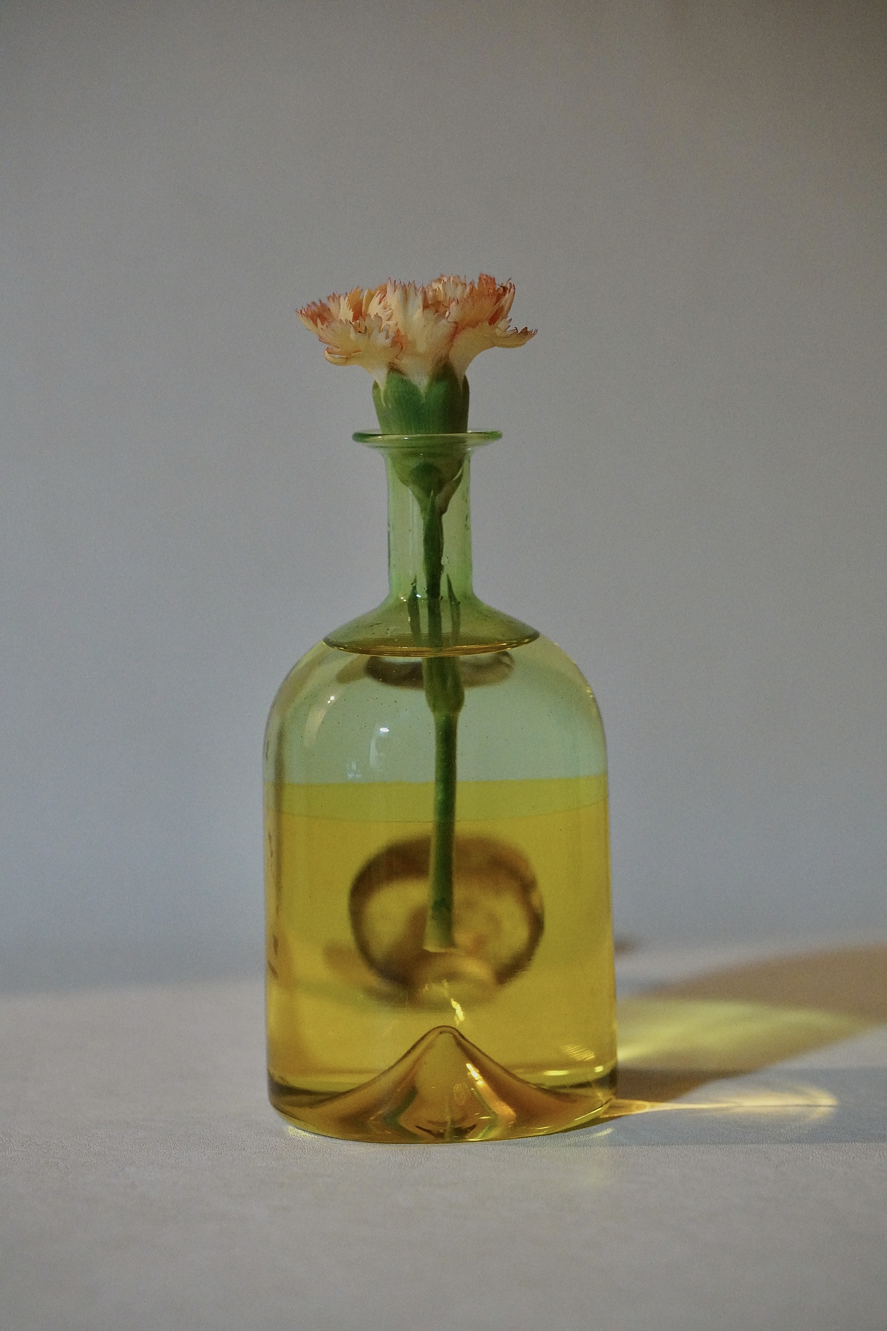 Play with the bottle之花与果