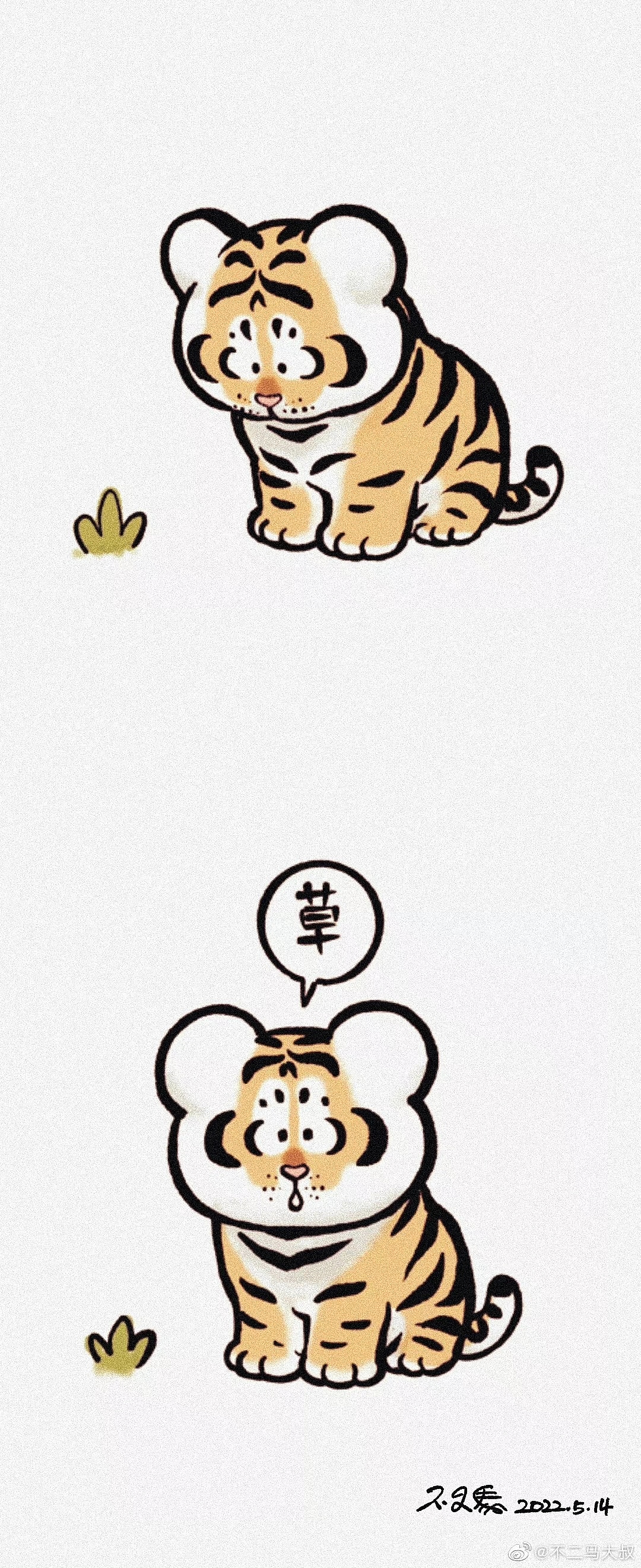 小黄毛的自然观察