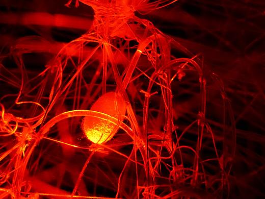 交互装置 | 茧 —— 孕育