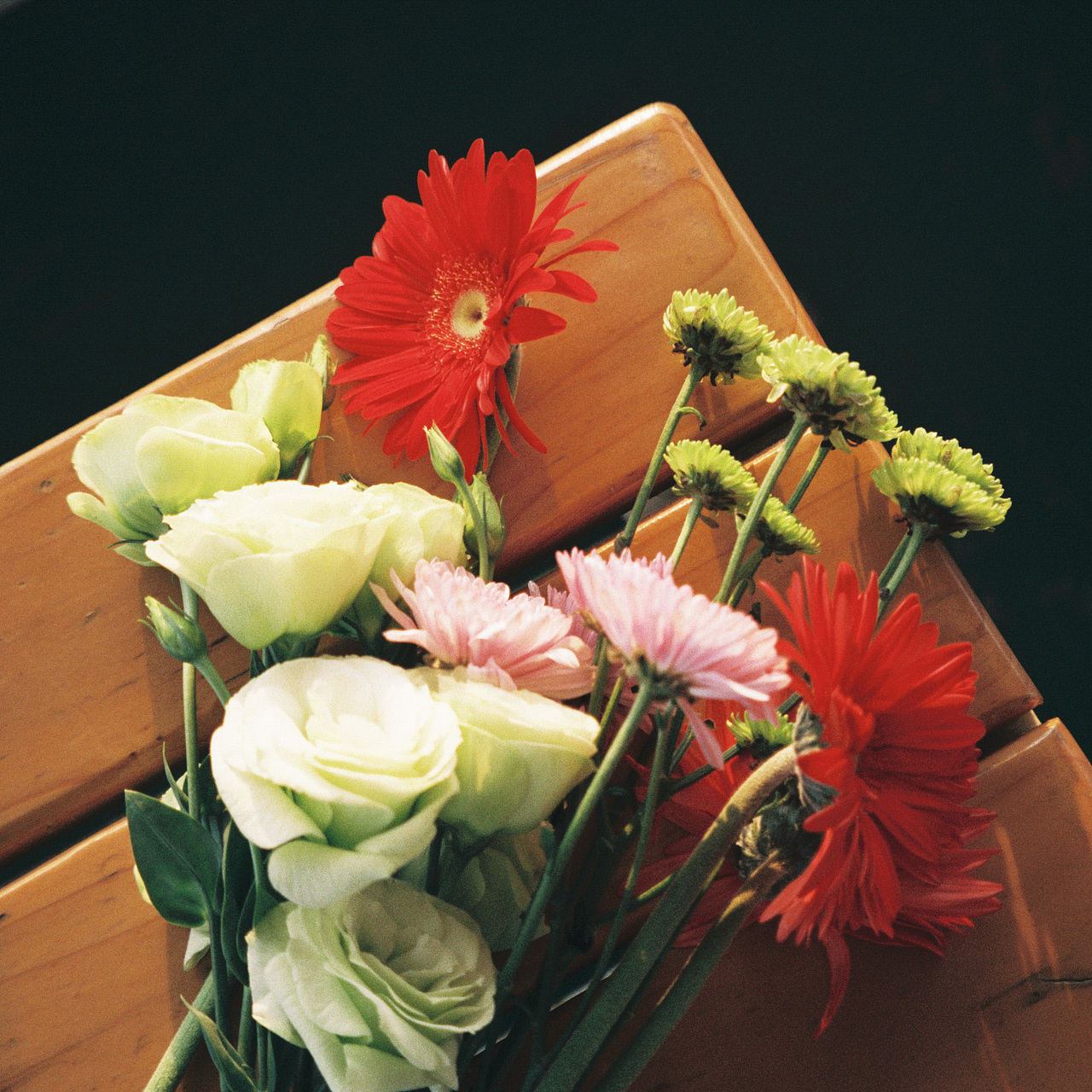 good vibes only（图ZMjU3NjQxNzg0） - 人像摄影 - 站酷设计师NiccoCai原创素材 - 站酷ZCOOL