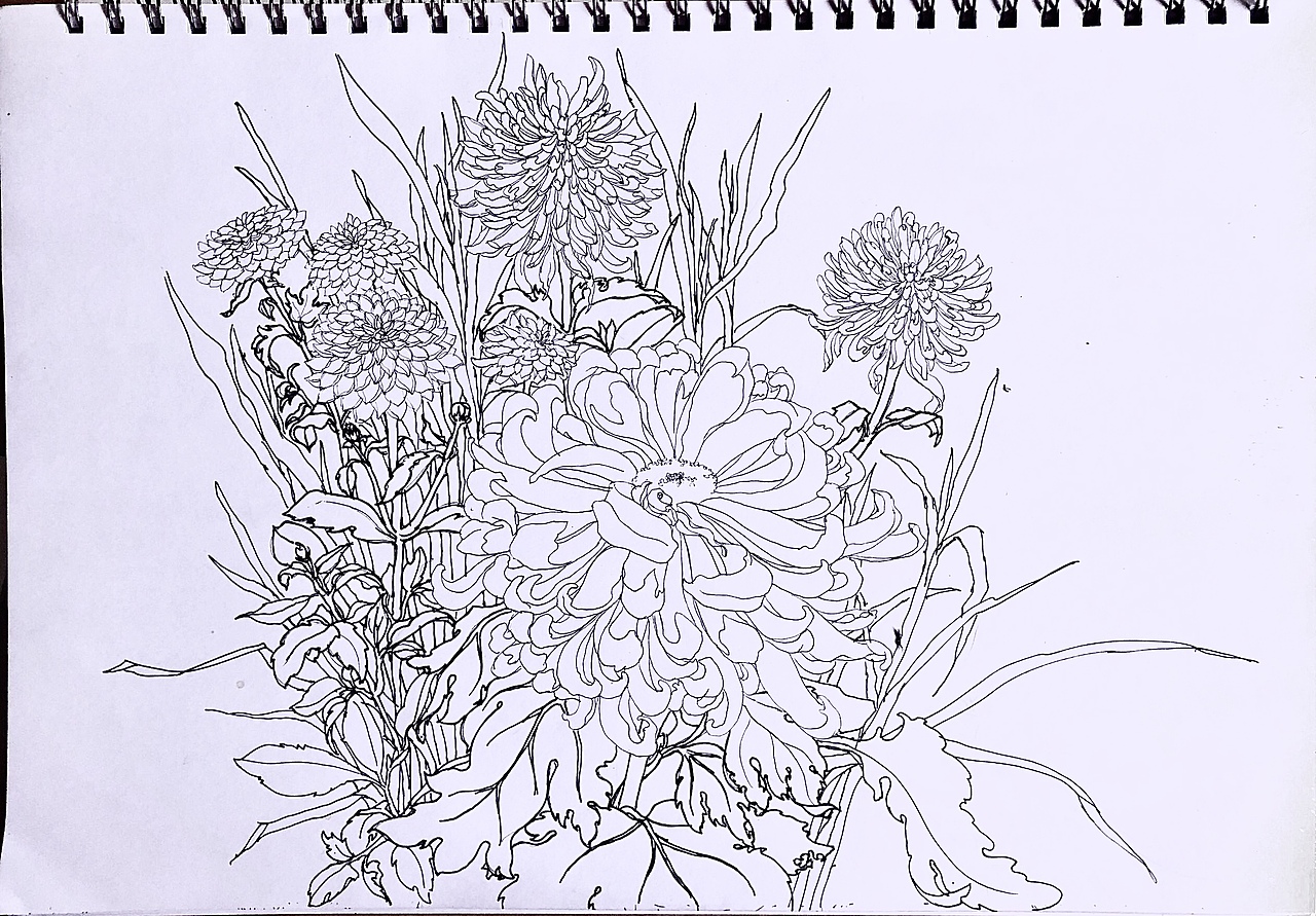 彩铅菊花丛